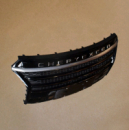 Решетка радиатора for flagship 602001172AA