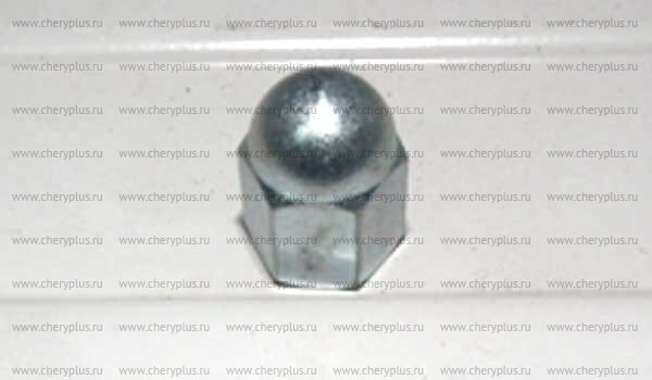 Cap - position nut N0111214