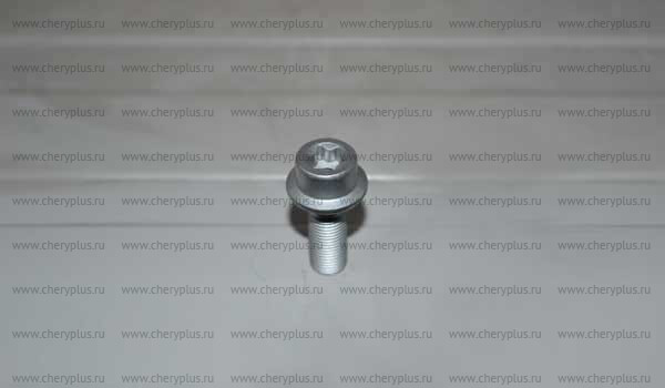 Болт 481H-1006074