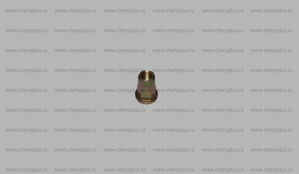 Nut A11-5300305 Nut A11-5300305