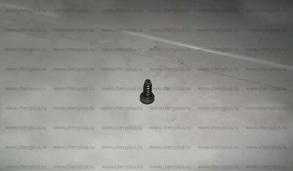 Tapping screw S11-8403103