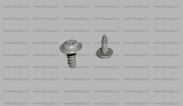 Винт самонарезающий T11-5402072 Винт самонарезающий T11-5402072