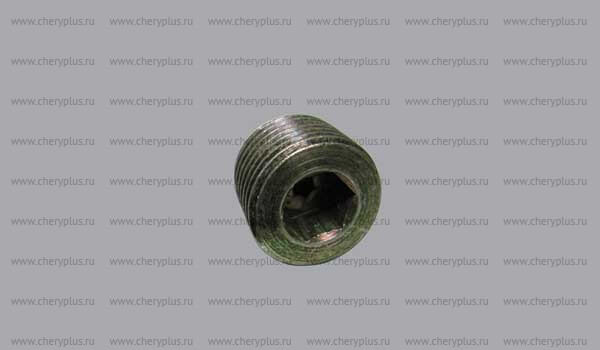 Plugscrew 477F-1003031 Plugscrew 477F-1003031