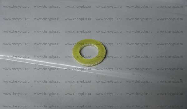 Washer S21-1602047