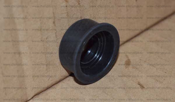 Сальник (ЦС) QR523-1702402 Сальник (ЦС) QR523-1702402