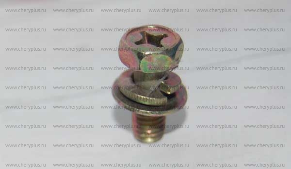 Screw B11-5606131 Screw B11-5606131