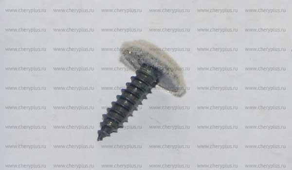Screw Q2204819CA Screw Q2204819CA