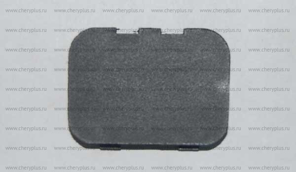 Заглушка чёрн. A13-6105133DA