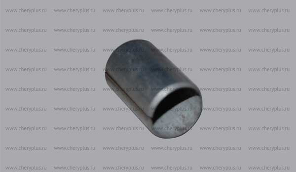 Направляющая (ЦС) 480-1003081 Направляющая (ЦС) 480-1003081
