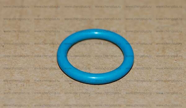 Oring A13-8108015