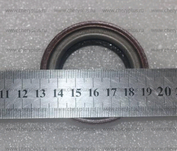 САЛЬНИК ПРИВОДА GL ATLAS (6MTT250) (неоригинал) 3024010600