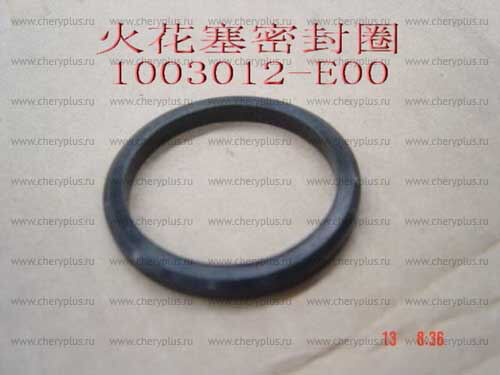 Уплотнитель свечного колодца (491QE)