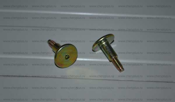 Screw A11-BJ3550095 Screw A11-BJ3550095