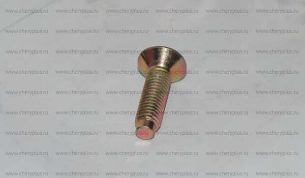 Винт крепления замка двери (цс) Q2580830