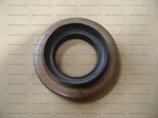 САЛЬНИК ВЕДУЩ ШЕСТ ПЕР МОСТА GW DEER, SAFE 4/4