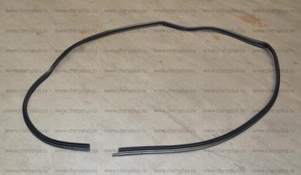 Уплотнитель резиновый задней лев. двери T11-5402430HB