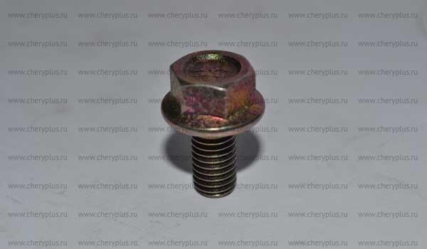 Bolt - hexagon flange 480EE-1008081 Bolt - hexagon flange 480EE-1008081