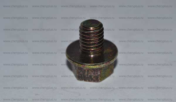 Болт 8mm (ЦС) 480-1008143 Болт 8mm (ЦС) 480-1008143