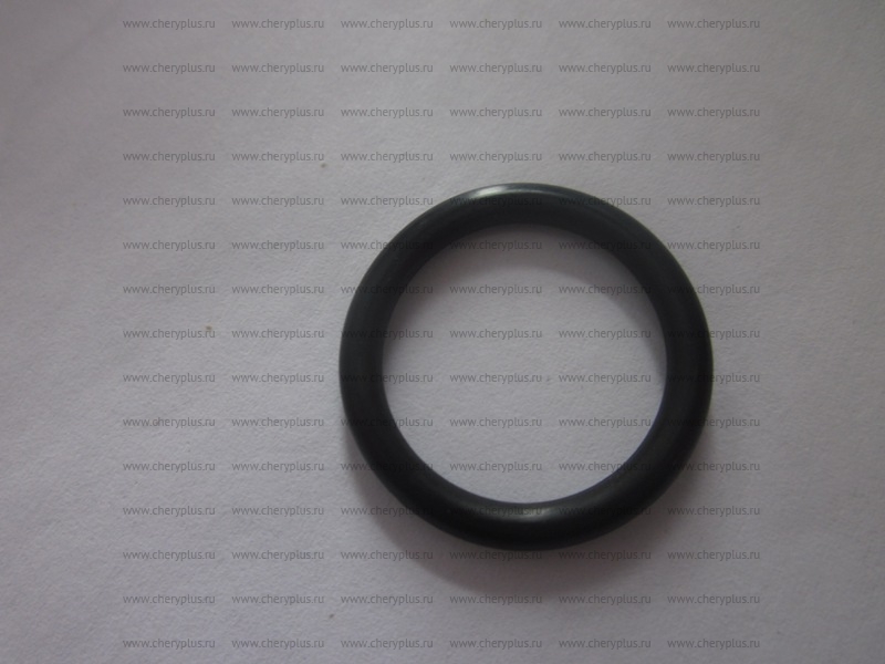 УПЛОТНИТЕЛЬНОЕ КОЛЬЦО КРЫШКИ (МАЛЕНЬКОЕ) 1066002093