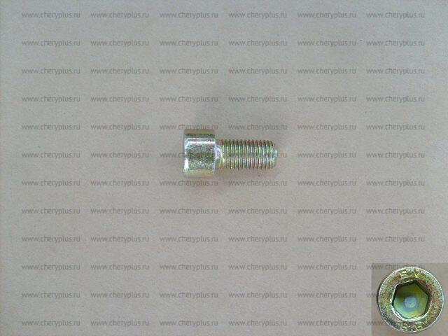 БОЛТ КРЕПЛЕНИЯ КРЫШКИ СТУПИЦЫ GW HOVER