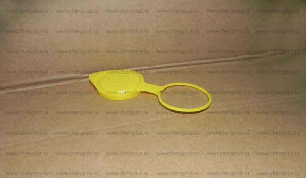 Крышка бачка омывателя T11-5207111 