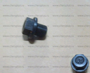 Пробка сливная 1009106-ED01A