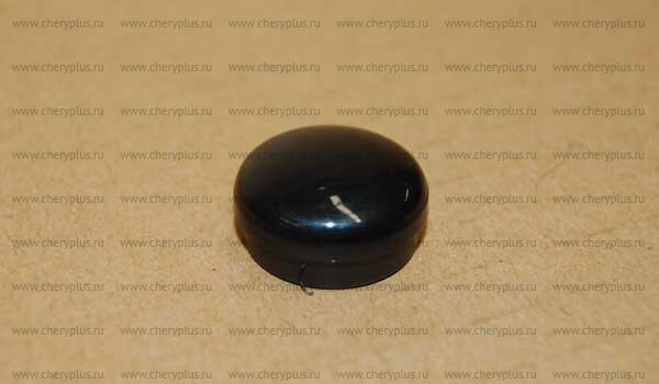Trimcap B13-5205171
