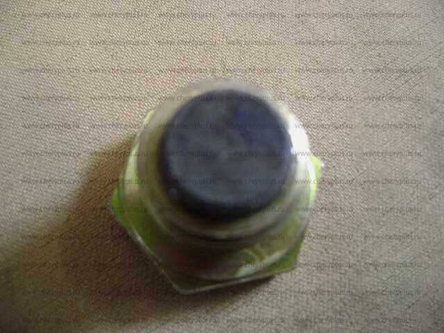 ПРОБКА КПП 4/2,4/4 СЛИВНАЯ GW DEER SAFE TAGC (ЭЛ.РК)