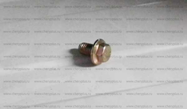 Болт с фланцем m6х10 A11-6GN3501079