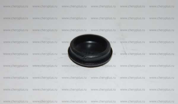 Заглушка передних стеклоочистителей B14-5205171