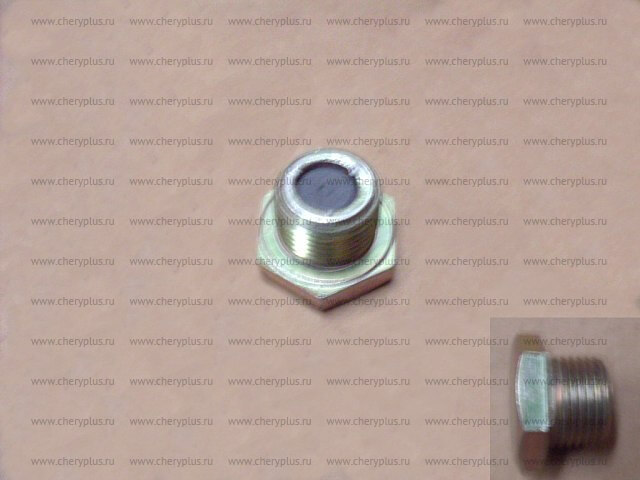 ПРОБКА КПП 4/4  СЛИВНАЯ/ЗАЛИВНАЯ GW DEER SAFE