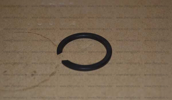 Стопорное кольцо QR513MHA-1701308AE